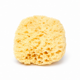 Stone Hollow Farmstead – Wool Sponge
