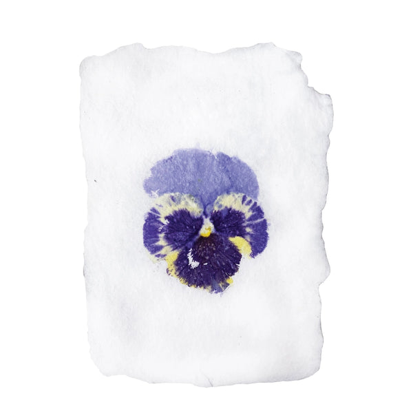 Real Pansy Imprint | Note Card - Stone Hollow Farmstead