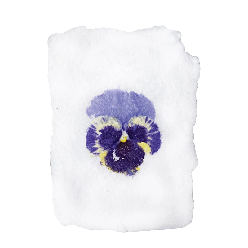 Real Pansy Imprint | Note Card - Stone Hollow Farmstead