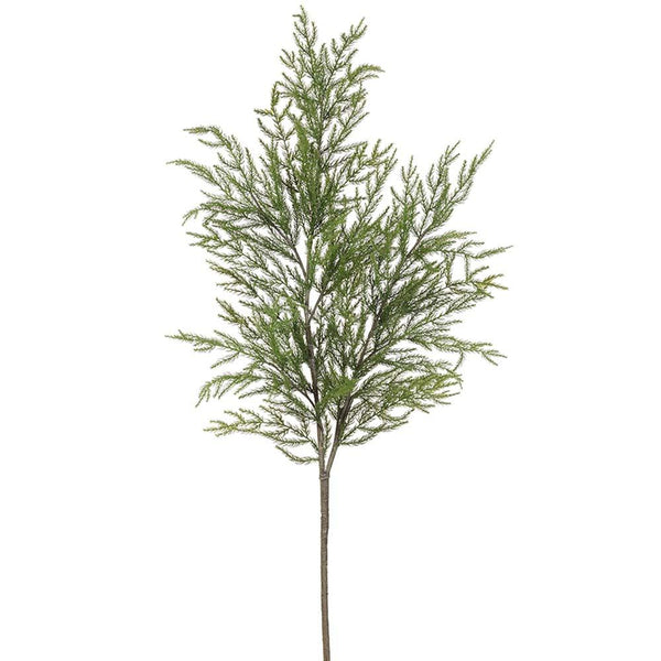 Spruce Spray, 66"