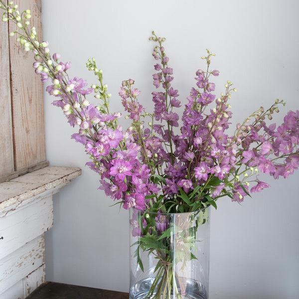 Clear vase with purple flowers on a iron surface against a white wall