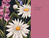 The Hidden Histories of Flowers stone hollow farmstead