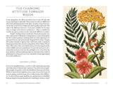 The Hidden Histories of Flowers Stone Hollow Farmstead