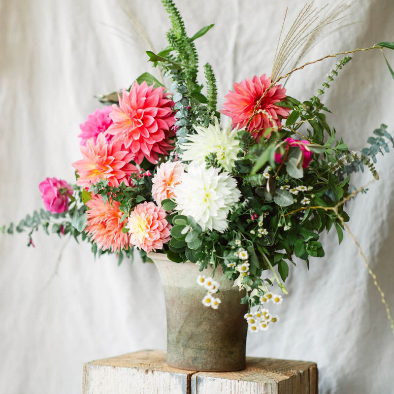 Cultivating Beautiful Dahlias Member Form featured image