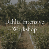 Dahlia Intensive Workshop | 2026