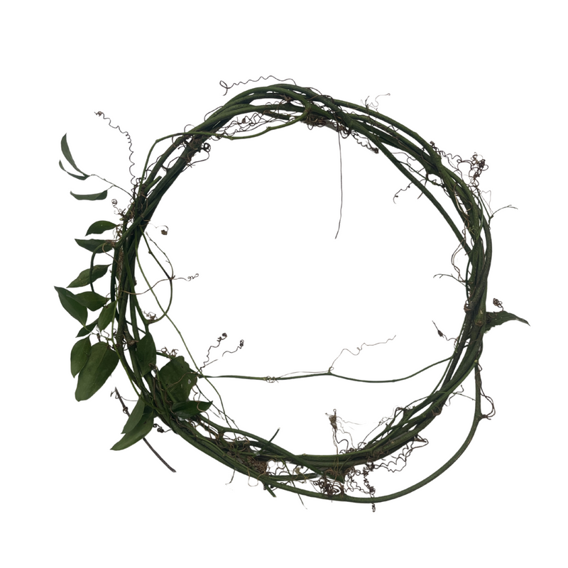 Southern Smilax Base | Wreath