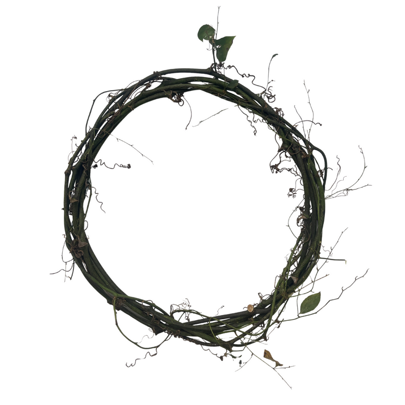 Southern Smilax Base | Wreath