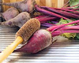 Veggie Brush W/Handle - All Natural, Handmade - Stone Hollow Farmstead