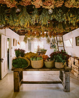 The Avant Gardens: Gardens Beyond Wild Expectations, Visionaries, and Landscape Architecture