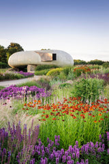 The Avant Gardens: Gardens Beyond Wild Expectations, Visionaries, and Landscape Architecture