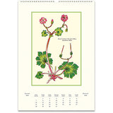 Vintage Wall Calendar | Wildflowers - Stone Hollow Farmstead