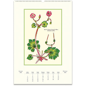Vintage Wall Calendar | Wildflowers - Stone Hollow Farmstead