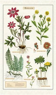Natural Cotton Tea Towel | Herbarium - Stone Hollow Farmstead