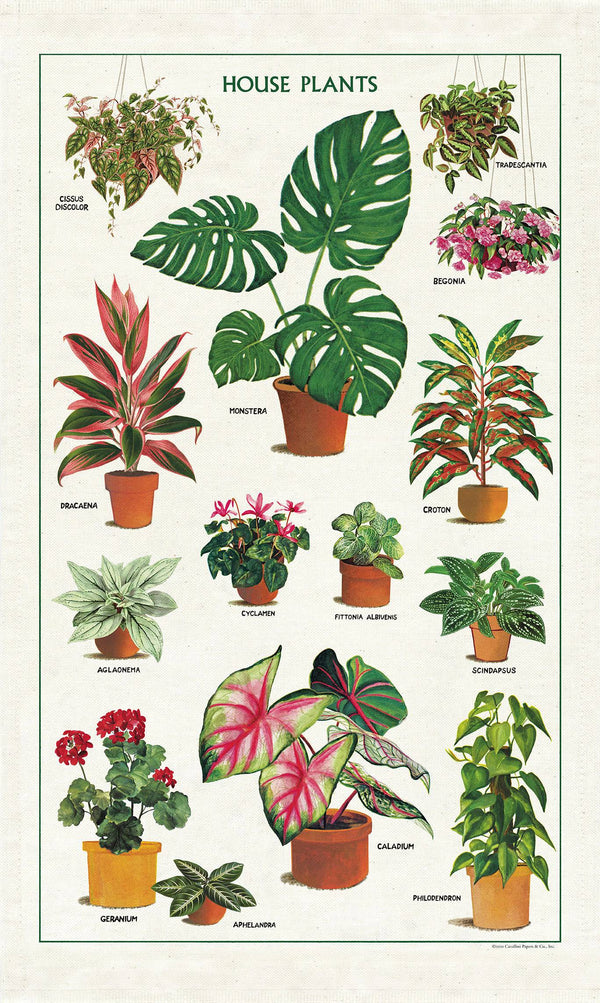 Natural Cotton Tea Towel | House Plants - Stone Hollow Farmstead