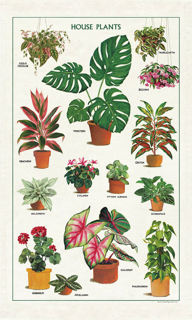 Natural Cotton Tea Towel | House Plants - Stone Hollow Farmstead