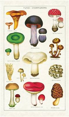 Natural Cotton Tea Towel | Mushrooms - Stone Hollow Farmstead