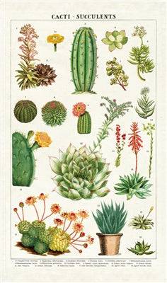 Natural Cotton Tea Towel | Succulents - Stone Hollow Farmstead