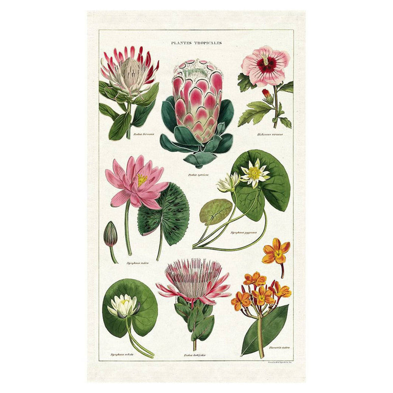 Natural Cotton Tea Towel | Tropical - Stone Hollow Farmstead
