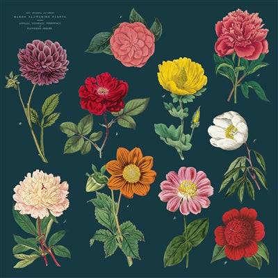 Vintage Napkin | Botanica - Stone Hollow Farmstead