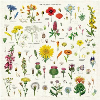 Vintage Napkin | Wildflowers - Stone Hollow Farmstead