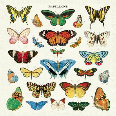 Vintage Napkins | Butterflies - Stone Hollow Farmstead