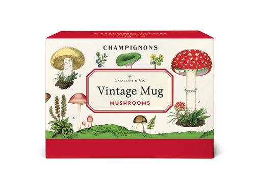 Vintage Print Mug | Mushrooms - Stone Hollow Farmstead