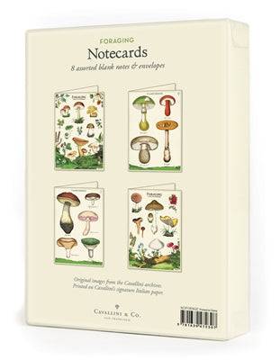 Vintage Stationary | Foraging Notecards - Stone Hollow Farmstead