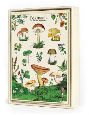 Vintage Stationary | Foraging Notecards - Stone Hollow Farmstead