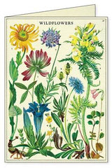 Vintage Stationary | Wildflower Notecards - Stone Hollow Farmstead