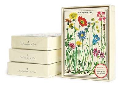 Vintage Stationary, Wildflower Notecards