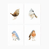 Emily Lex watercolor assorted bird notecard, single card with envelope