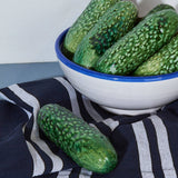 glazed ceramic cucumber stone hollow farmstead Eturel Madrid 