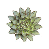 Pear Green Calico Aster Ceramic Wall Flower front view at Stone Hollow Farmstead