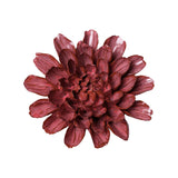 Blush Pink Star Dahlia Ceramic Wall Flower front view at Stone Hollow Farmstead