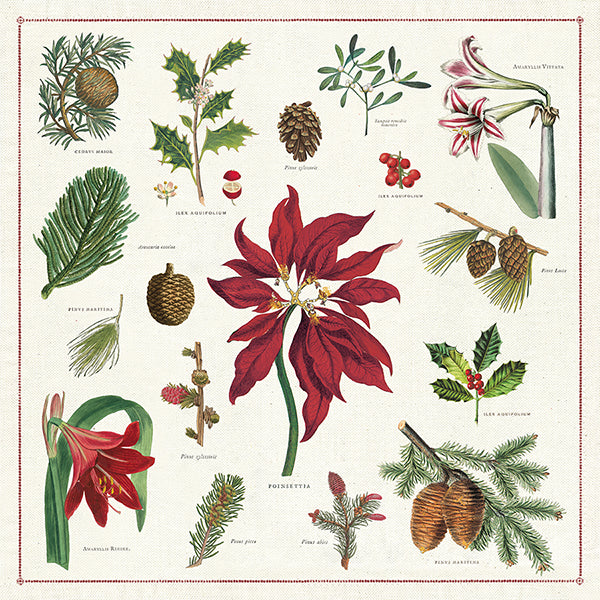 Vintage Napkin | Christmas Botanica - Stone Hollow Farmstead