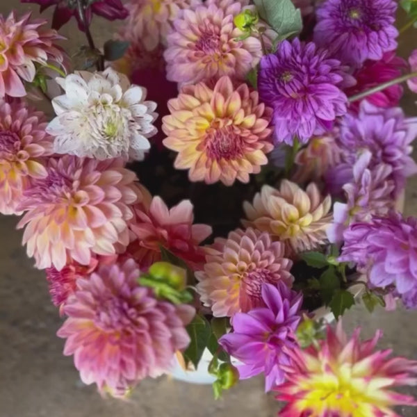 The Garden-Gathered Dahlia Bucket