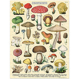 Mini Puzzle | Mushrooms