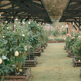 Friends of the Farmstead