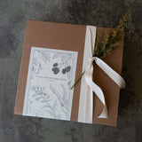 Dahlia Tuber Gift Box - Stone Hollow Farmstead