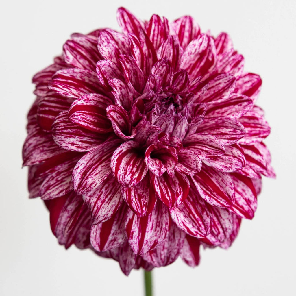 stone-hollow-farmstead-jk-