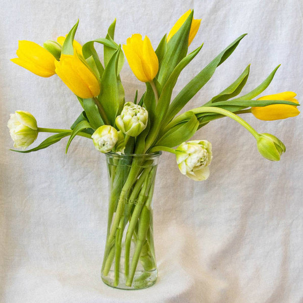 One Dozen Tulips in a Weck Jar - Stone Hollow Farmstead