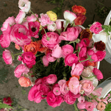 Valentines' Day Cut Flower Bundle Subscription + Gift Box | Nationwide Shipping - Stone Hollow Farmstead