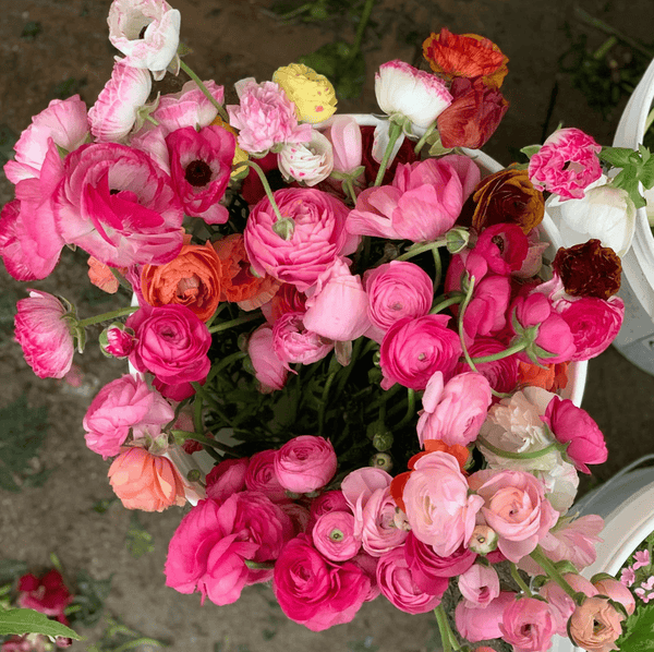 Valentines' Day Cut Flower Bundle Subscription + Gift Box | Nationwide Shipping - Stone Hollow Farmstead