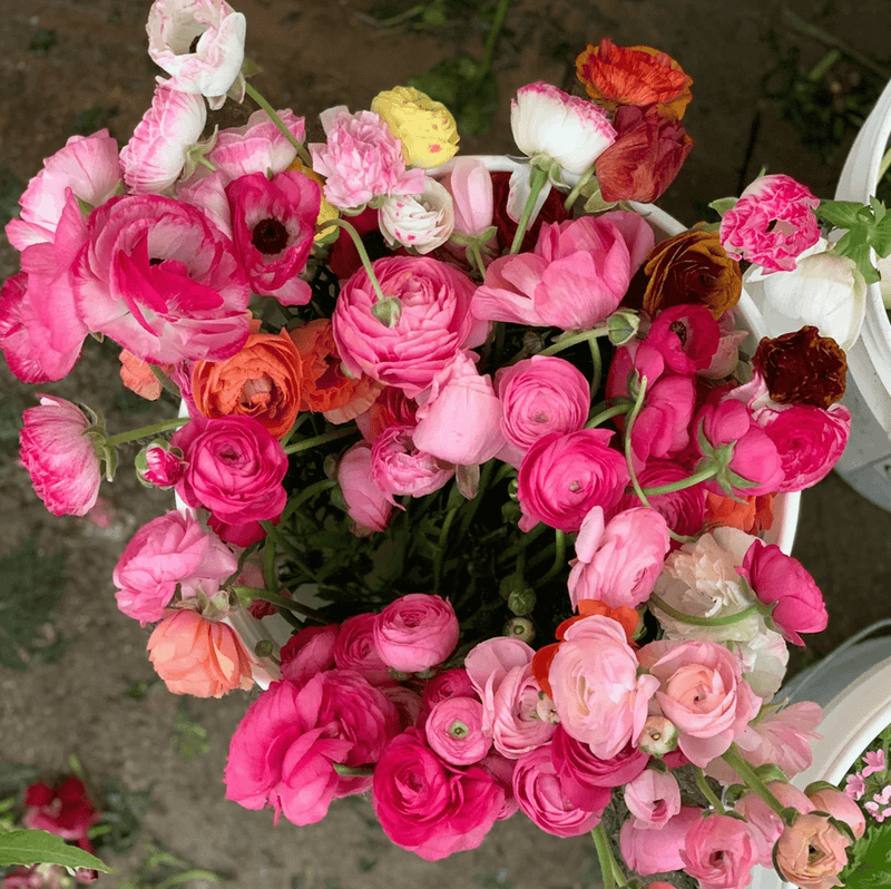 Valentines' Day Cut Flower Bundle Subscription + Gift Box | Nationwide Shipping - Stone Hollow Farmstead